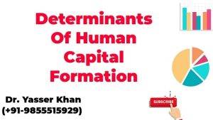The Significance of Human Capital Formation