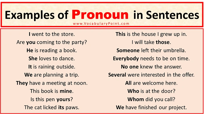 How to Use Pronouns in Sentences 1