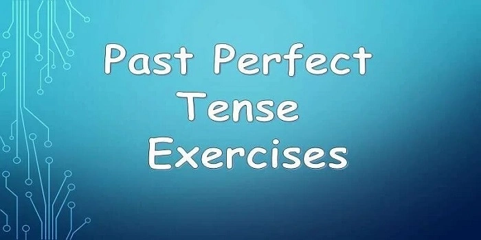 Past Perfect Tense in Hindi – Exercise with Rules and Examples