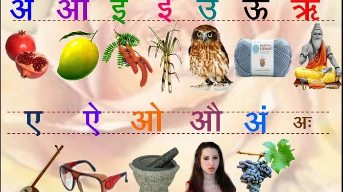 vowel and consonant in hindidgfhh
