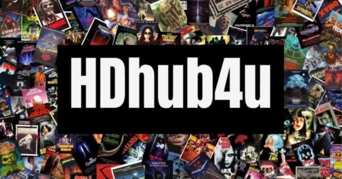 What Is Hdhub4u in Movie