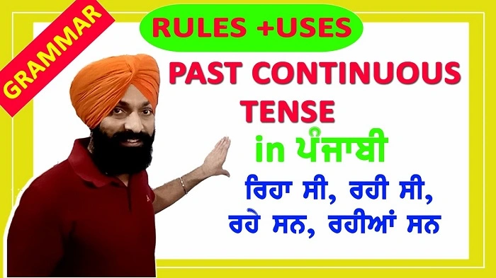Structure of Past Continuous Tense in Punjabi