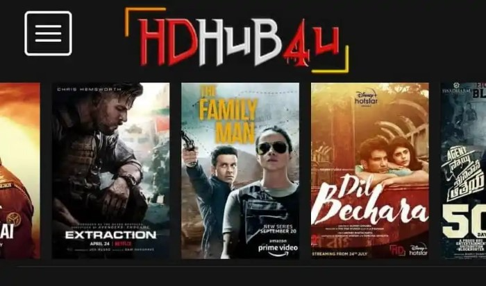 What Is Hdhub4u Official Website