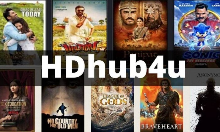 What is the Hdhub4u Website