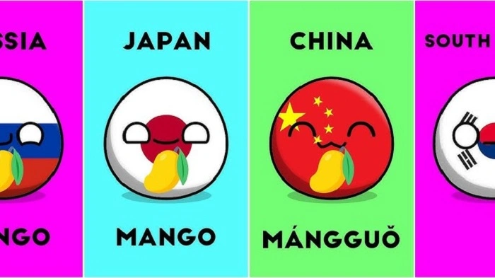 Mango Plural in Different Countries
