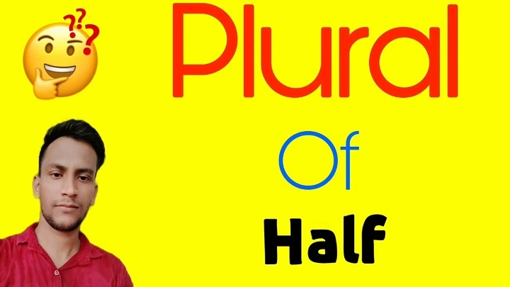 Half ka Plural: Simple Explanation with Easy Examples half ka plural