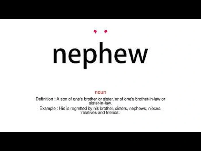 Nephew Meaning Explained With Examples