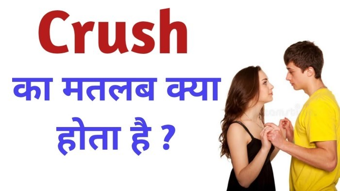crush meaning in hindi 1